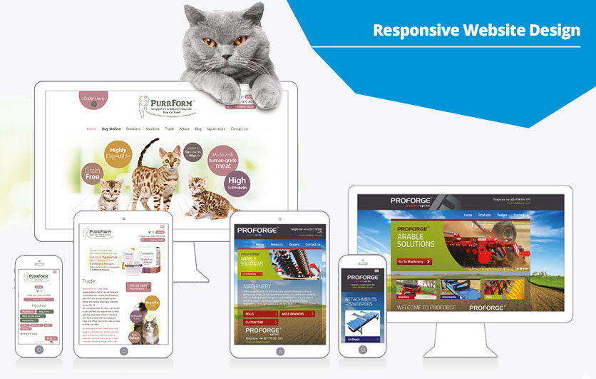 Purrfectly responsive