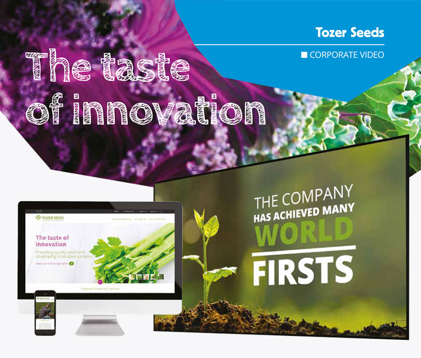 An evolving world wide brand