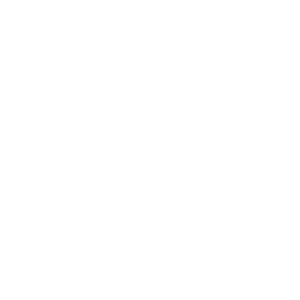 March Self Store logo