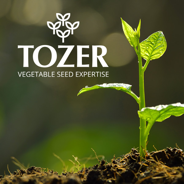 Tozer Seeds brand identity