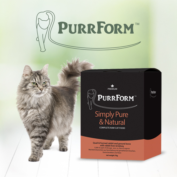 PurrForm goes from strength to strength